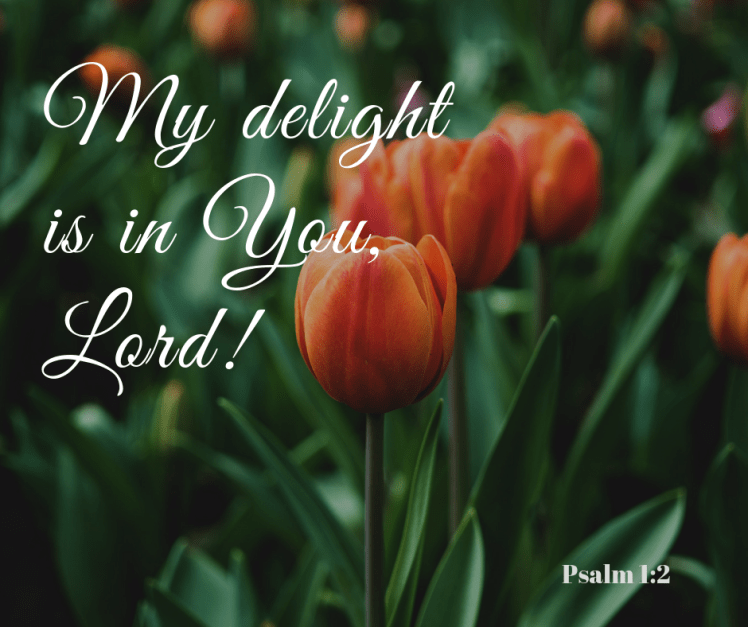 Simple Plants Photo Background Flower Facebook Post