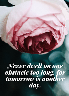 don't dwell