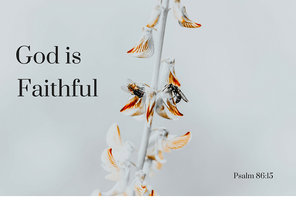 psalm 86_15