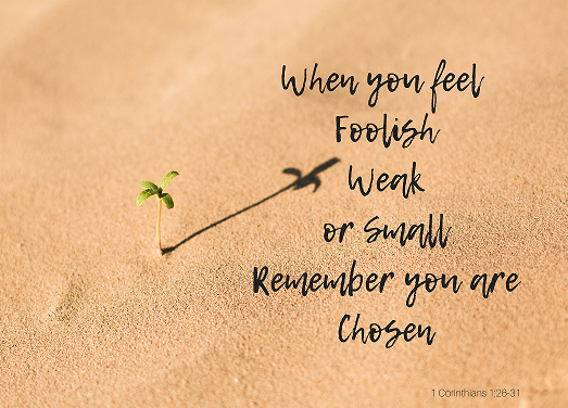 When you feel FoolishWeakor SmallRemember that you areChosen (1)